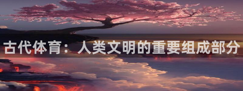 三亿体育