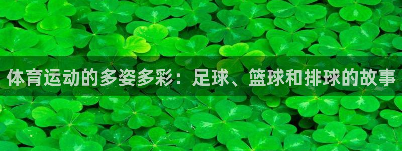 三亿体育网页版