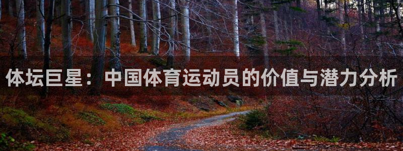 三亿体育网