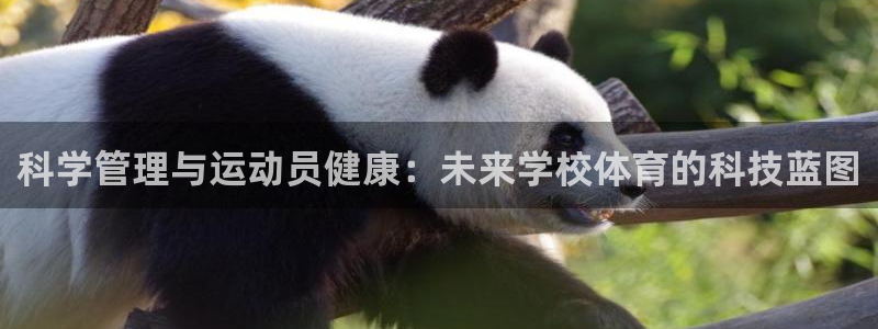 三亿体育网：科学管理与运动员健康：未来学校体育的科技蓝图