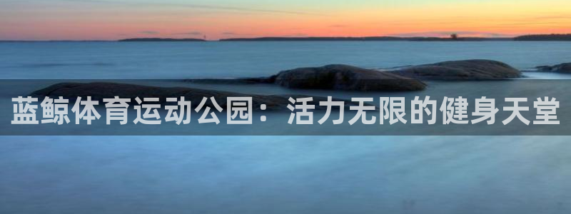三亿体育网：蓝鲸体育运动公园：活力无限的健身天堂