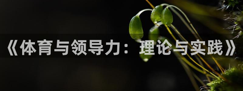 三亿体育：《体育与领导力：理论与实践》
