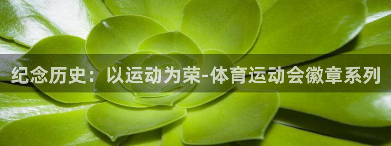 三亿体育网页版