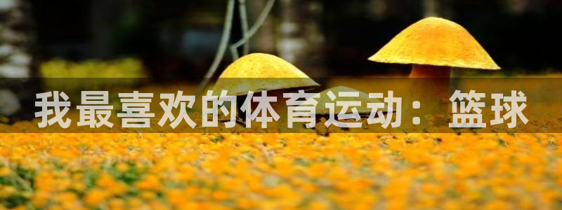 三亿体育登录：我最喜欢的体育运动：篮球
