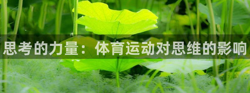 三亿体育：思考的力量：体育运动对思维的影响