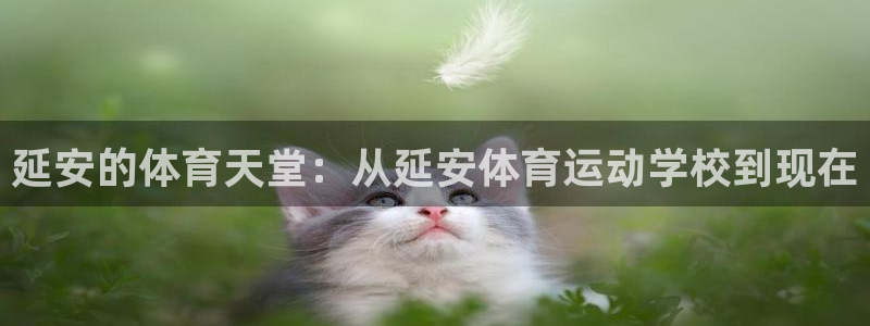 三亿体育网页版：延安的体育天堂：从延安体育运动学校到现在