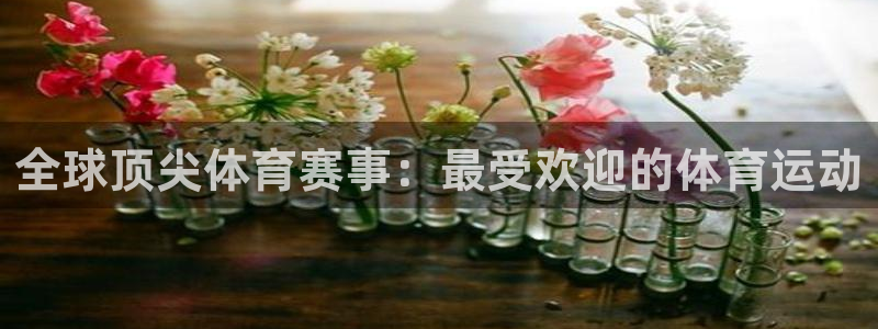 三亿体育网页版：全球顶尖体育赛事：最受欢迎的体育运动
