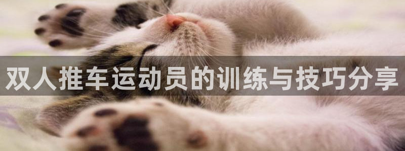 三亿体育网页版：双人推车运动员的训练与技巧分享